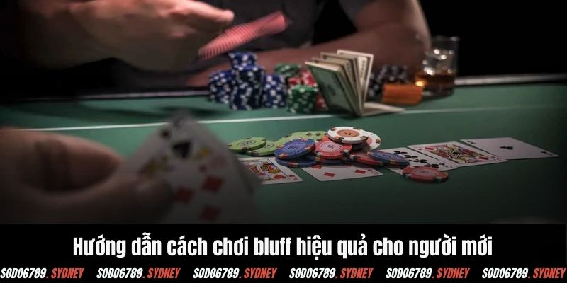 Hướng dẫn cách chơi bluff hiệu quả cho người mới