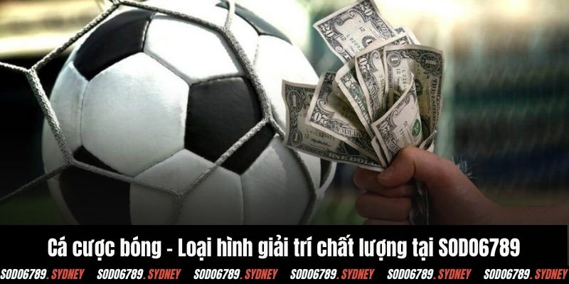 Cá cược bóng - Loại hình giải trí chất lượng tại SODO6789