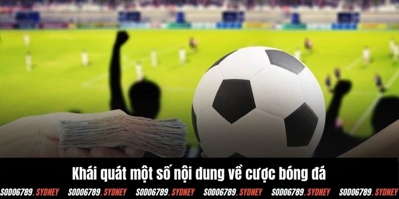 Khái quát một số nội dung về cược bóng đá