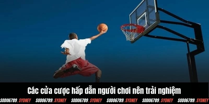 Các cửa cược hấp dẫn người chơi nên trải nghiệm