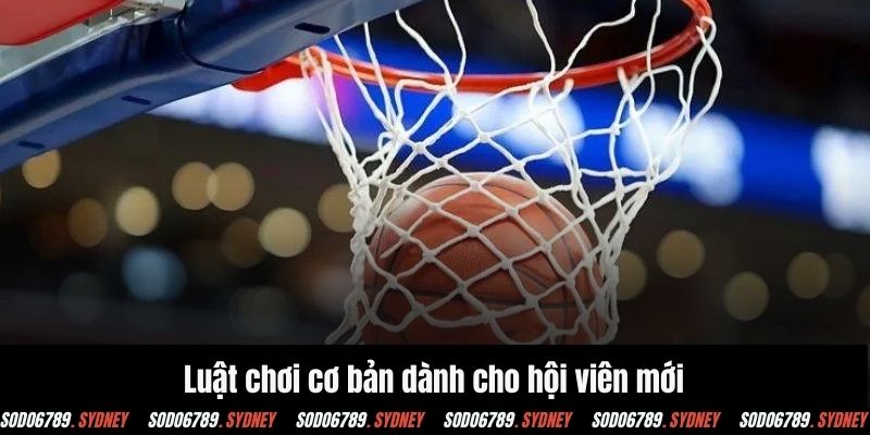 Luật chơi cơ bản dành cho khách hàng mới bắt đầu