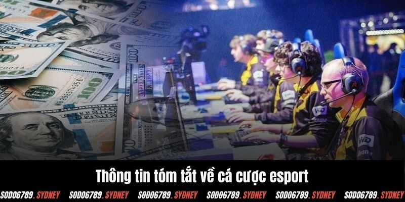 Thông tin tóm tắt về cá cược esport