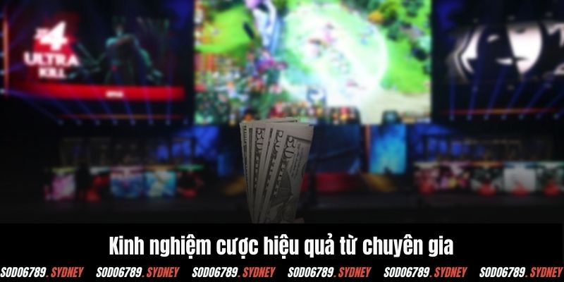 Kinh nghiệm cược hiệu quả từ các chuyên gia nổi tiếng