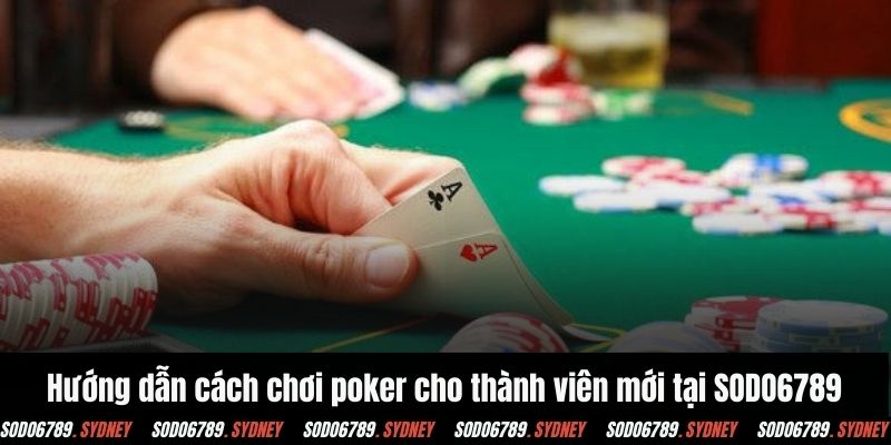 Hướng dẫn cách chơi poker cho thành viên mới tại SODO6789