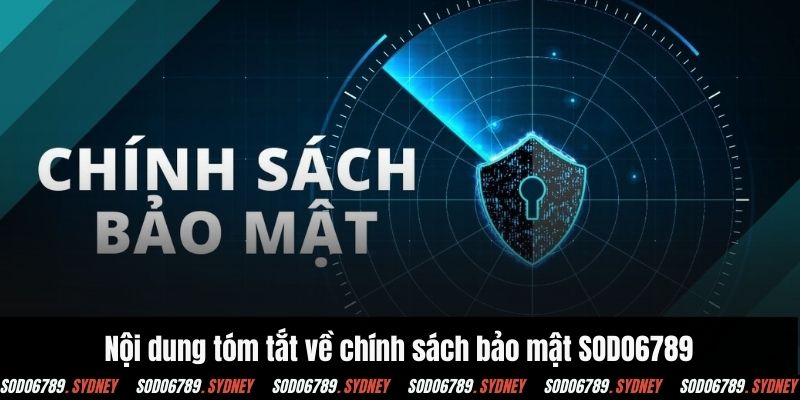Nội dung tóm tắt về chính sách bảo mật SODO6789