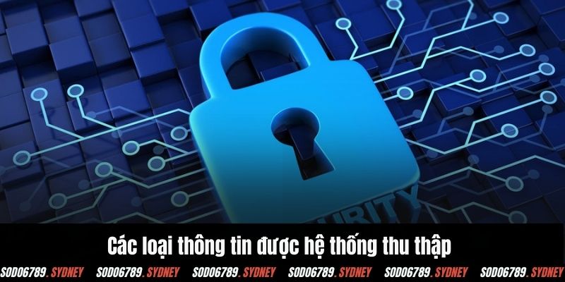 Các loại thông tin được hệ thống yêu cầu