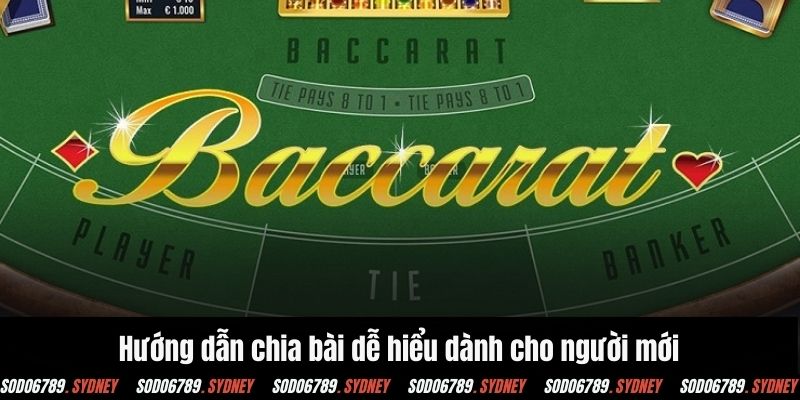 Hướng dẫn chia bài dễ hiểu dành cho người mới