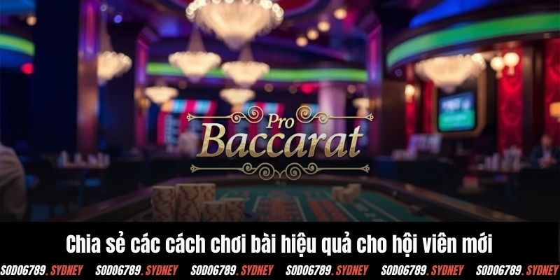 Chia sẻ các cách chơi bài hiệu quả cho hội viên mới