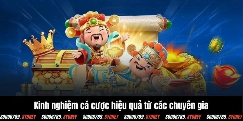 Kinh nghiệm cá cược hiệu quả chắc thắng từ chuyên gia