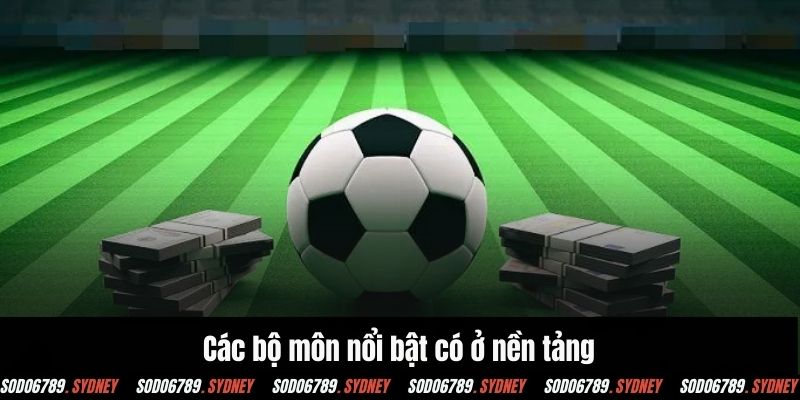 Các bộ môn nổi bật có ở nền tảng