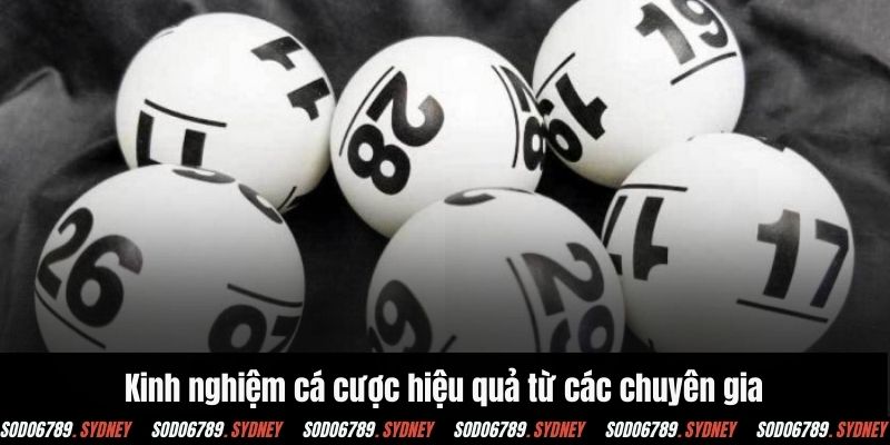 Chia sẻ các bước tham gia săn thưởng con số may mắn